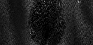 سالروز وفات حضرت زینب,عقیله بنی هاشم